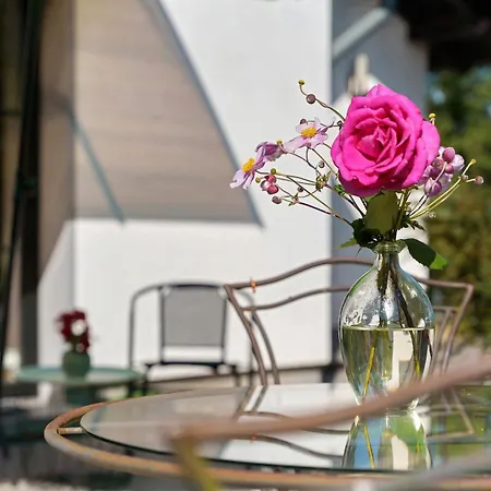 Διαμέρισμα Sonnenblick *