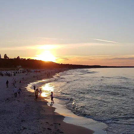 Sonnenblick * プットブス